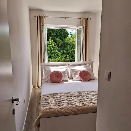 Apartment Ivy